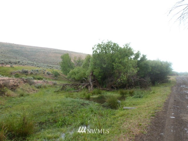 0 Parke Creek Road Kittitas, WA 98934 - Photo 1 of 2 Gallery Image 1