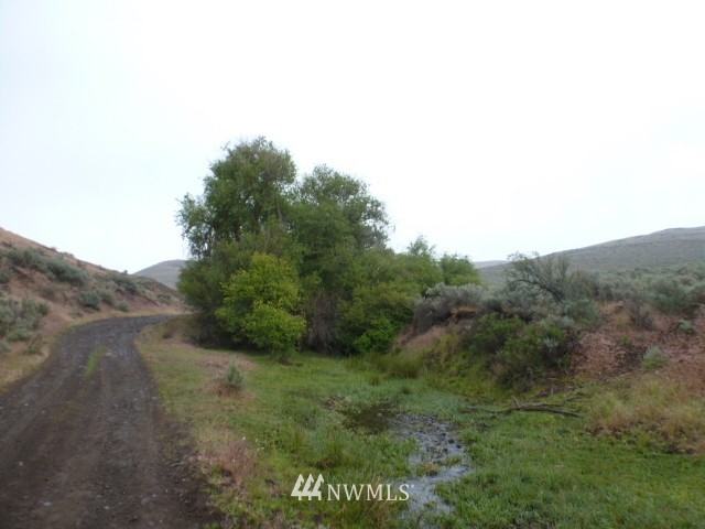 0 Parke Creek Road Kittitas, WA 98934 - Photo 2 of 2 Gallery Image 2