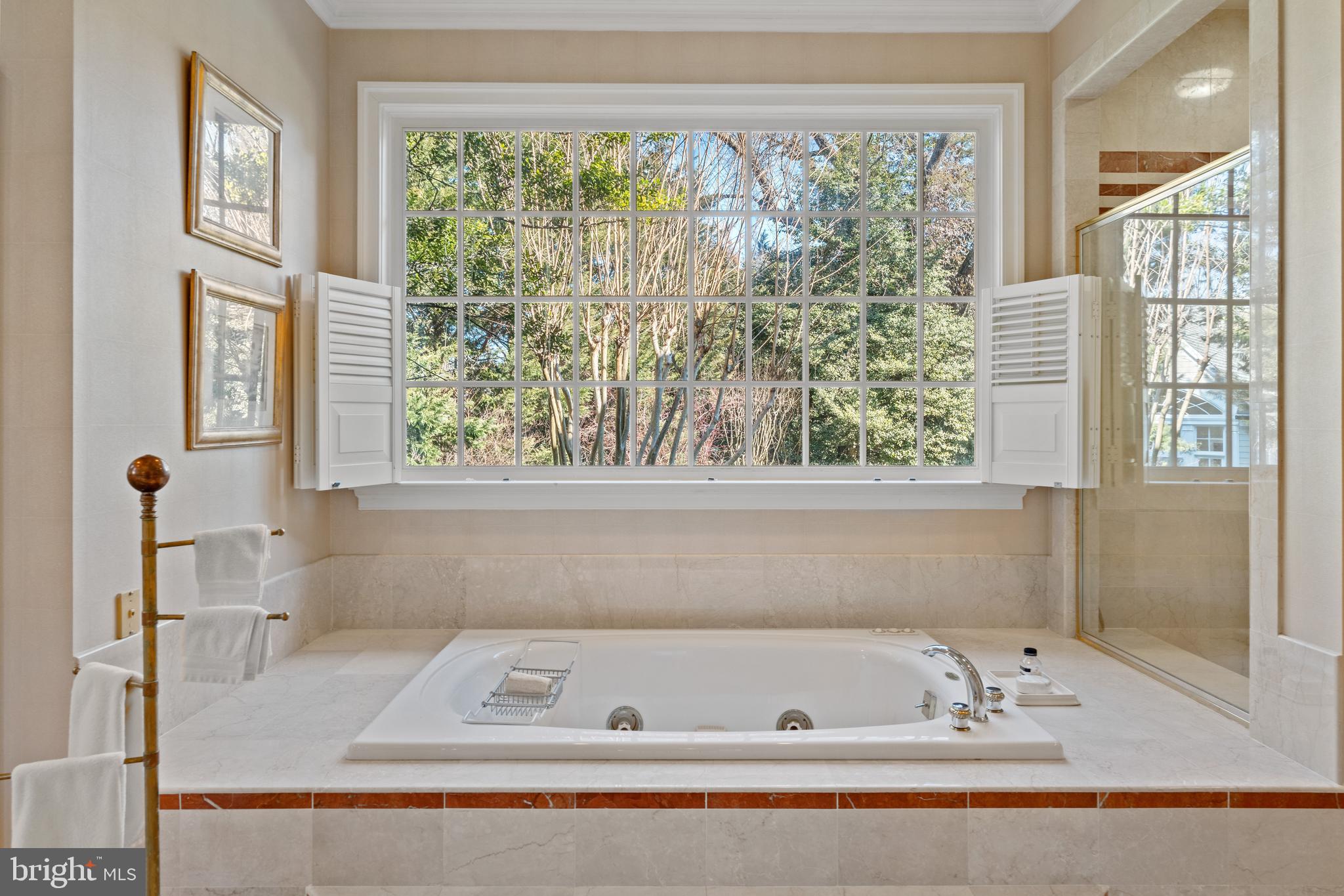 1110 Harvey Road McLean, VA 22101 - Photo 44 of 87 Spa tub
