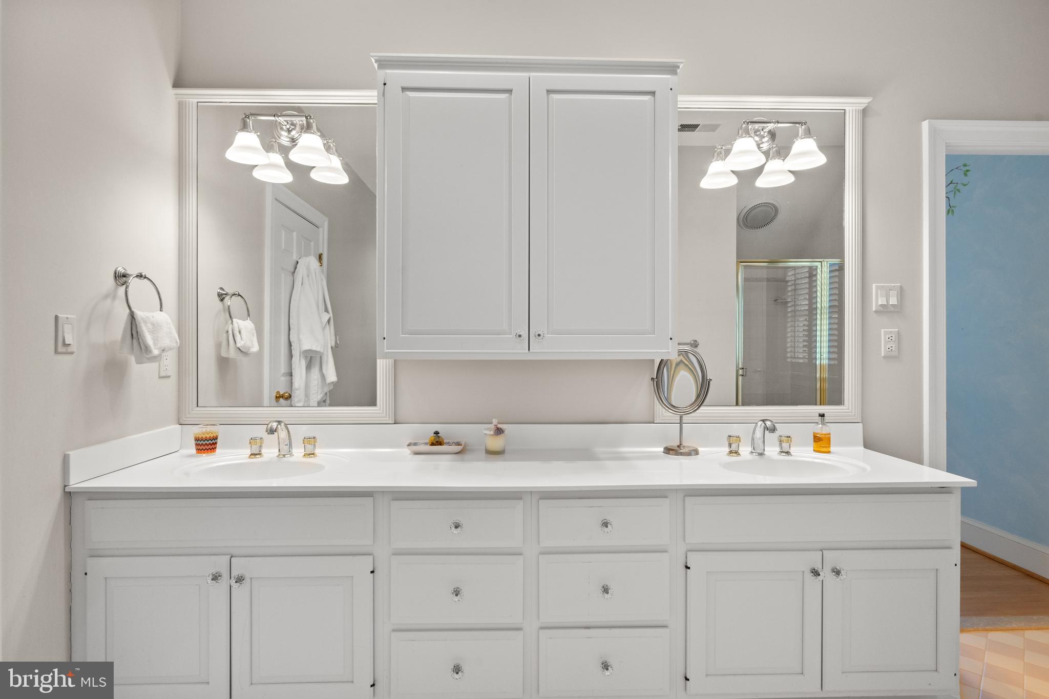 1110 Harvey Road McLean, VA 22101 - Photo 49 of 87 Double Vanity