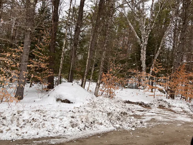 $75,000 | L62.2 Moffitt Road, Chestertown, NY 12817