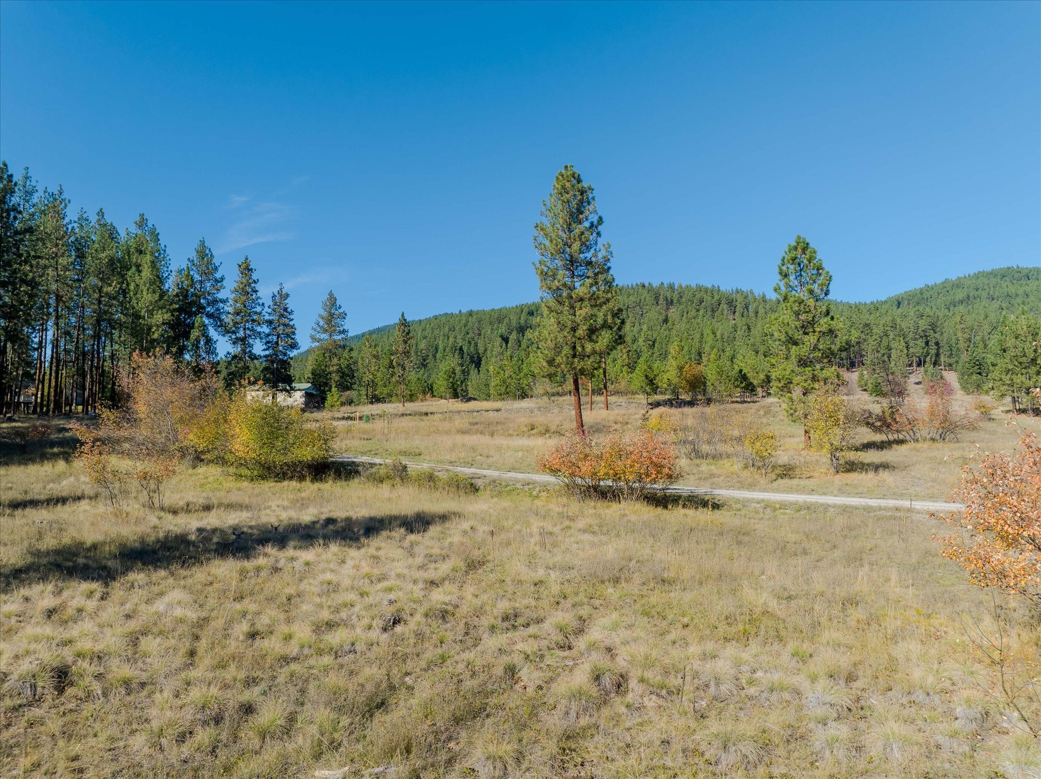 Kna Mack Road Libby, MT 59923 - Photo 26 of 39 Gallery Image 26