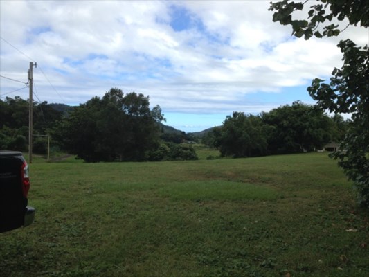 6596 A Poo Road, Unit D Kapaa, HI 96746 - Photo 1 of 3 a view of a grassy field