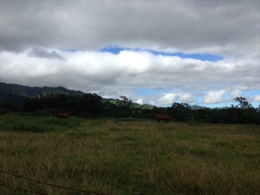 6596 A Poo Road, Unit D Kapaa, HI 96746 - Photo 3 of 3 a view of lake with mountain