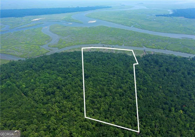 $1,500,000 | 1304 Old Smokey Road, Townsend, GA 31304