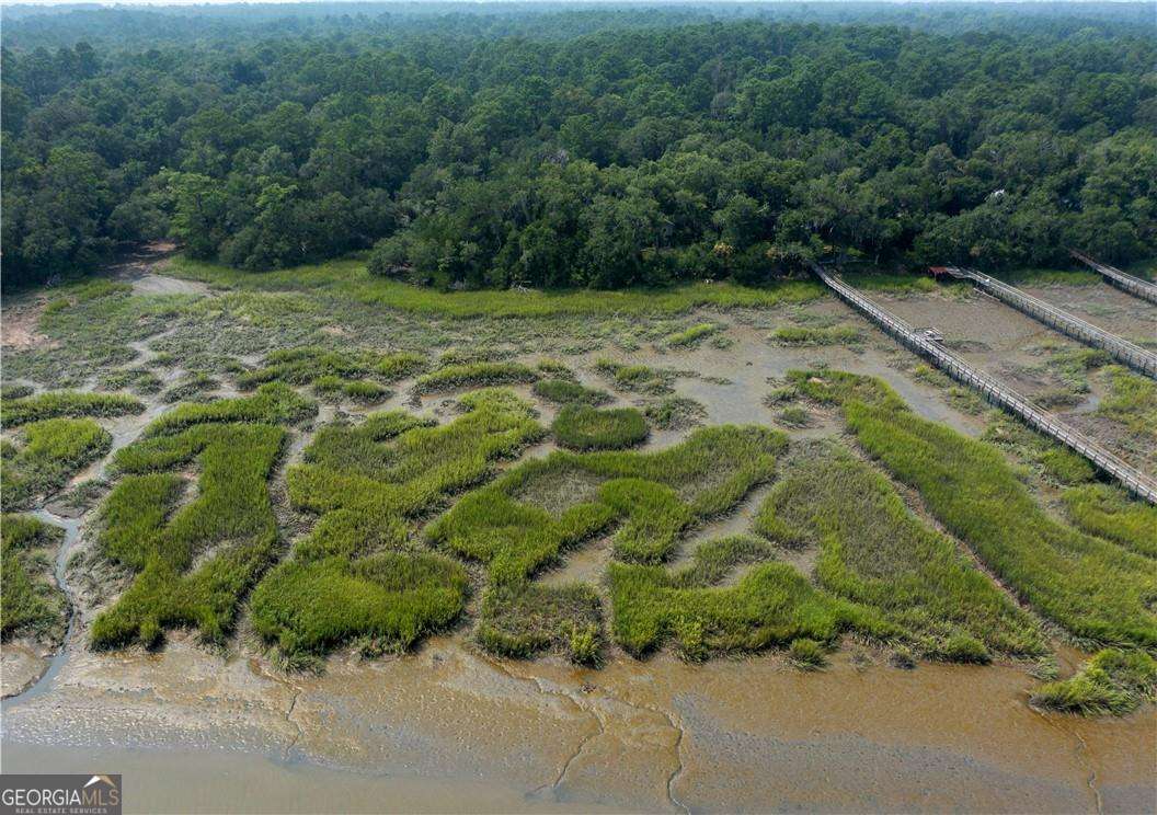 1304 Old Smokey Road Townsend, GA 31304 - Photo 12 of 14