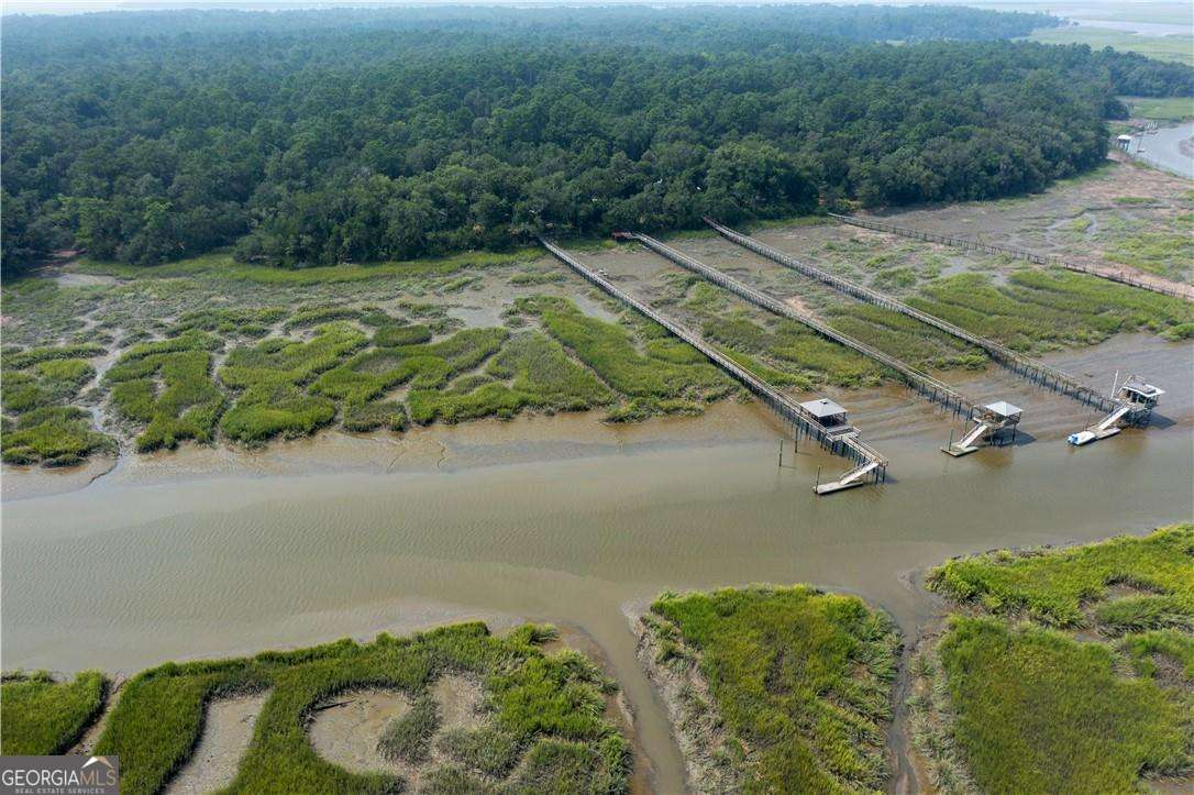 1304 Old Smokey Road Townsend, GA 31304 - Photo 13 of 14