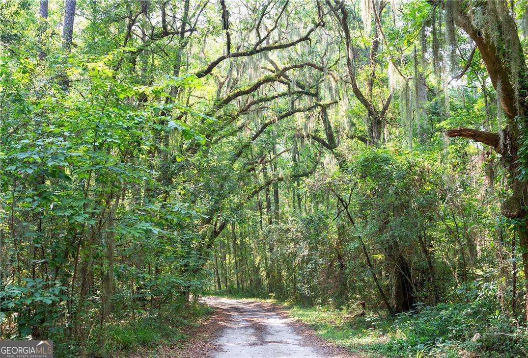 1304 Old Smokey Road Townsend, GA 31304 - Photo 2 of 14