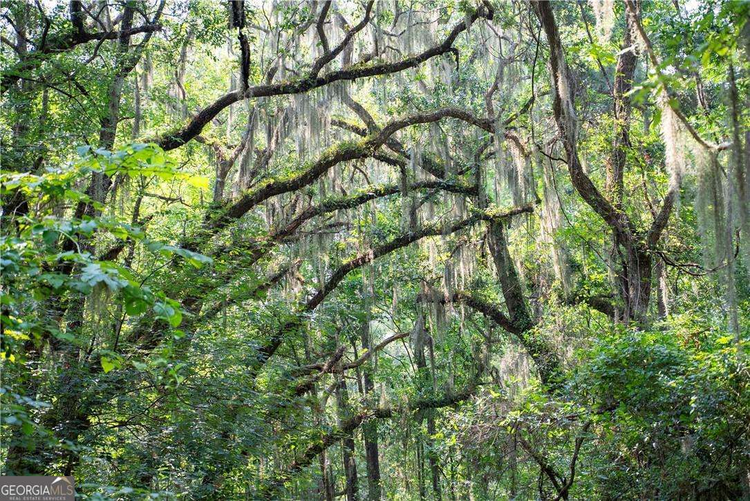 1304 Old Smokey Road Townsend, GA 31304 - Photo 3 of 14