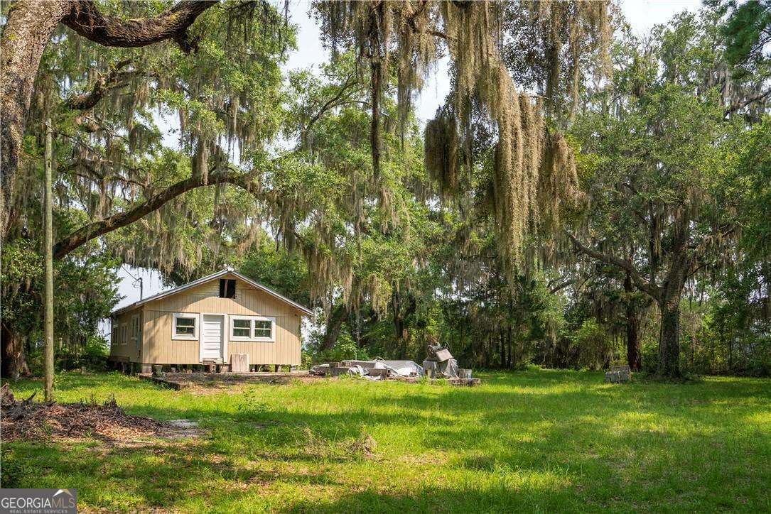 1304 Old Smokey Road Townsend, GA 31304 - Photo 4 of 14