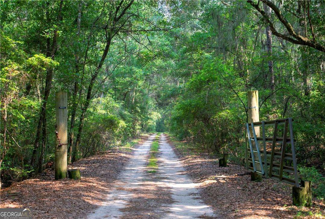 1304 Old Smokey Road Townsend, GA 31304 - Photo 7 of 14