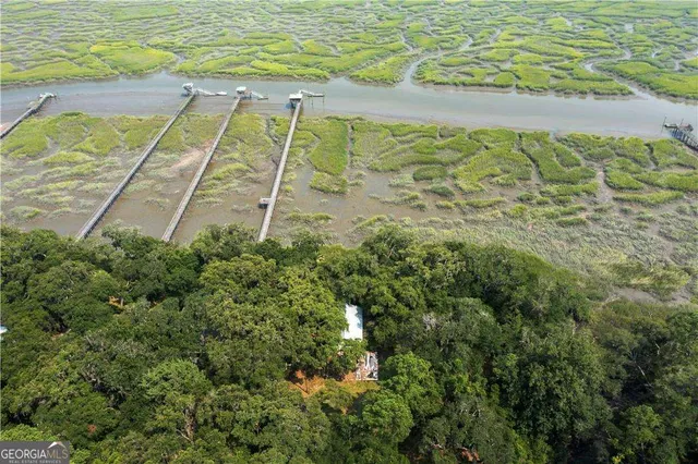 $1,500,000 | 1304 Old Smokey Road, Townsend, GA 31304