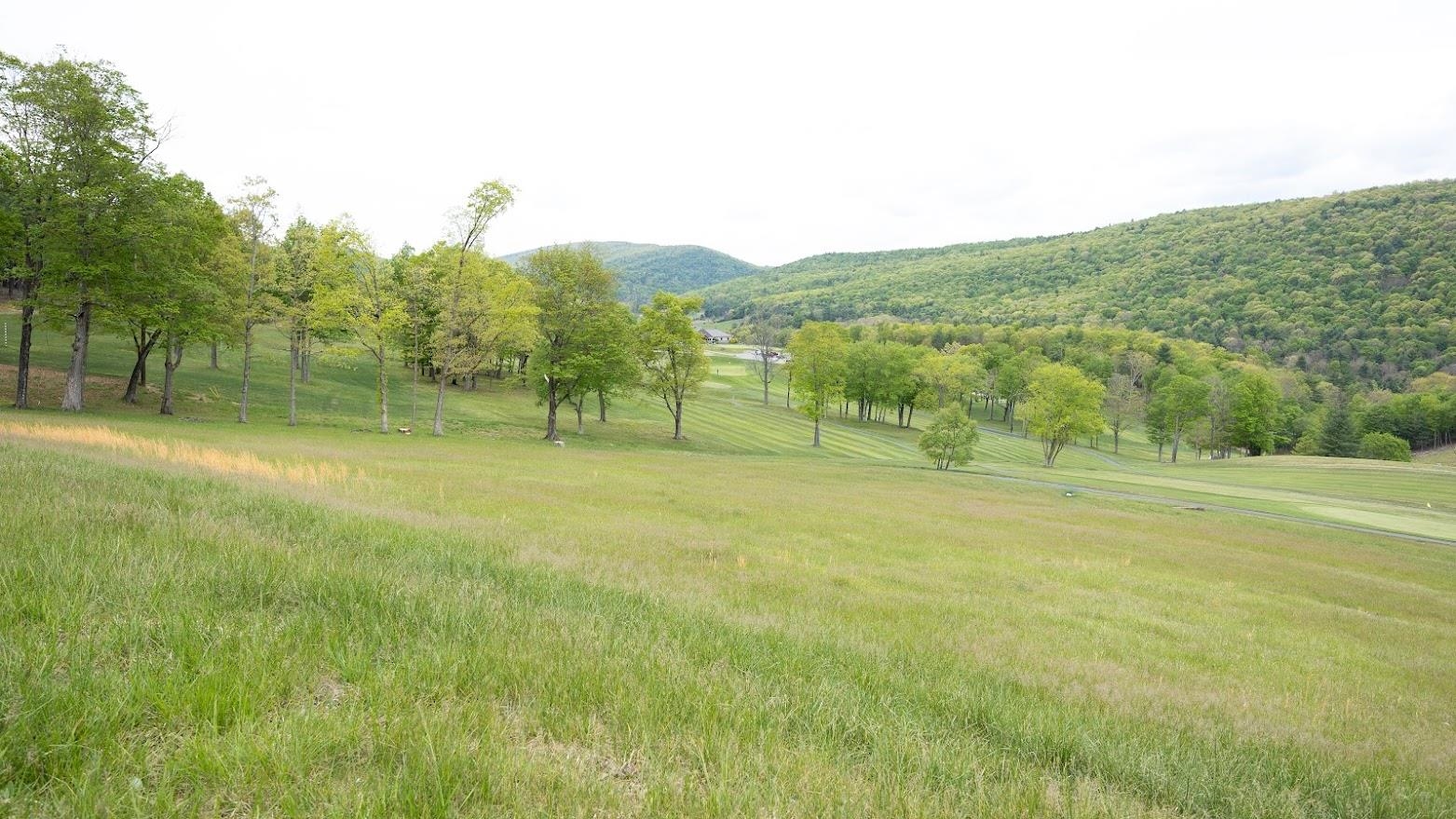 Lot 5 Golf Club Road Franklin, WV 26807 - Photo 3 of 25