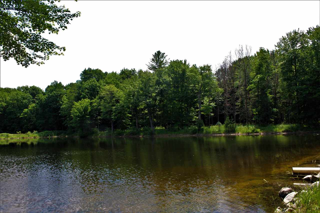 3943 West Main Road Road Stanton, MI 48888 - Photo 9 of 47
