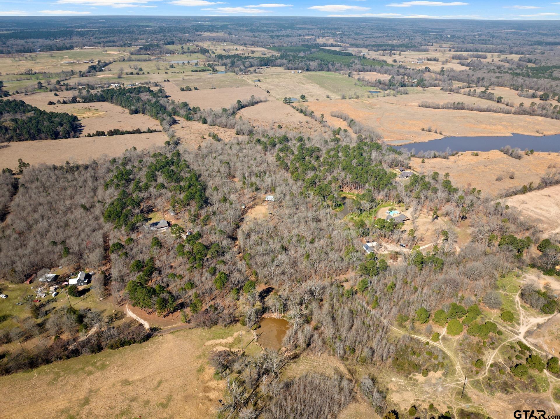 6524 Horse Road Gilmer, TX 75644 - Photo 3 of 11