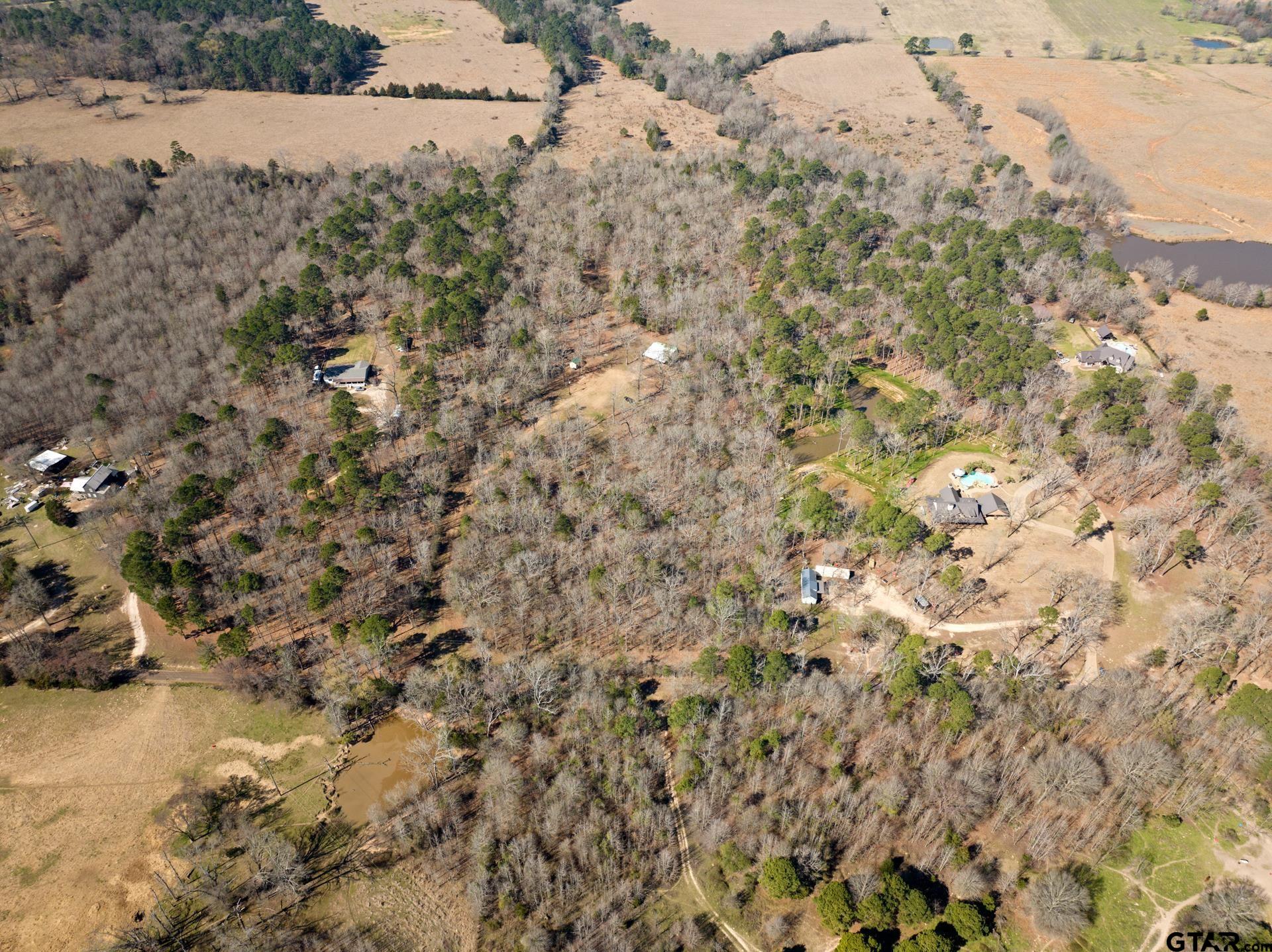 6524 Horse Road Gilmer, TX 75644 - Photo 4 of 11