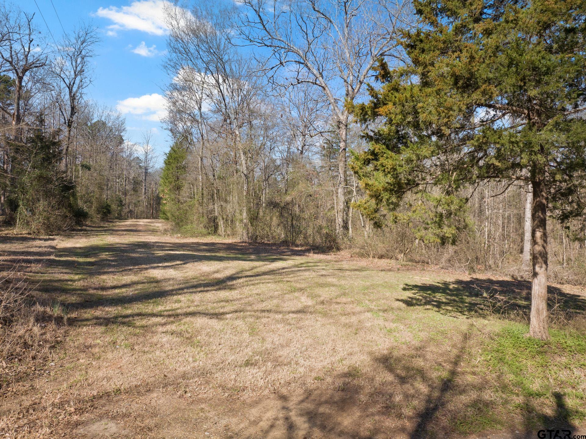 6524 Horse Road Gilmer, TX 75644 - Photo 9 of 11