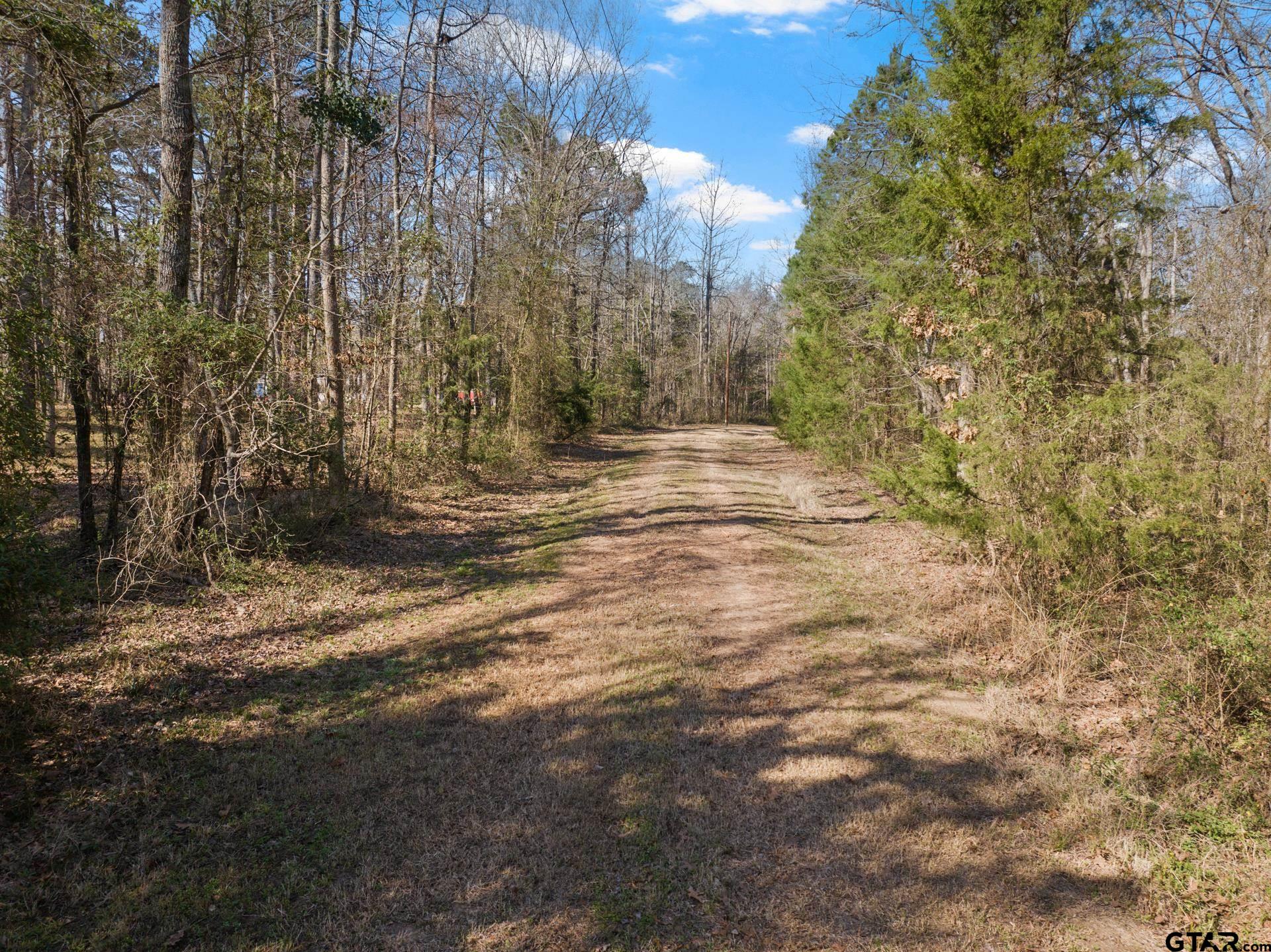 6524 Horse Road Gilmer, TX 75644 - Photo 10 of 11