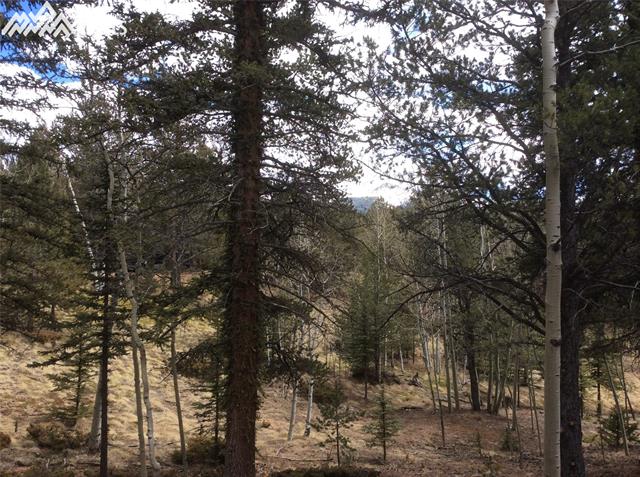 26 Mica Road Divide, CO 80814 - Photo 9 of 14