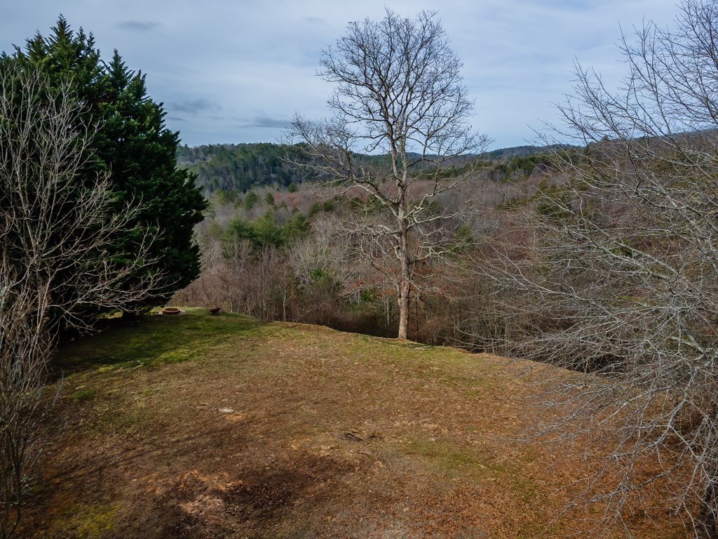 112 Deer Ridge Drive Murphy, NC 28906 - Photo 20 of 55 a view of a yard
