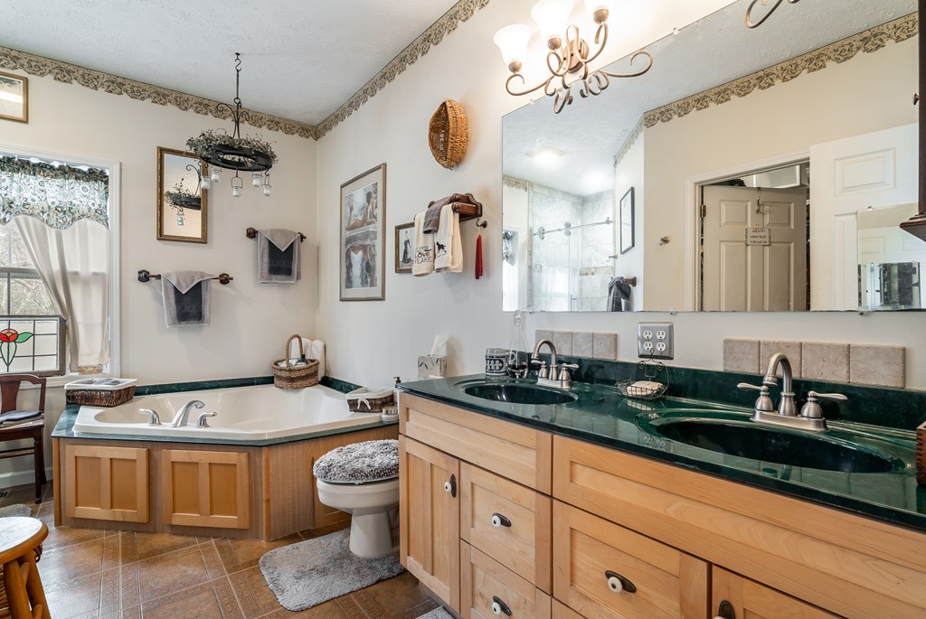 112 Deer Ridge Drive Murphy, NC 28906 - Photo 47 of 55 a bathroom with a granite countertop sink a toilet a mirror and bathtub