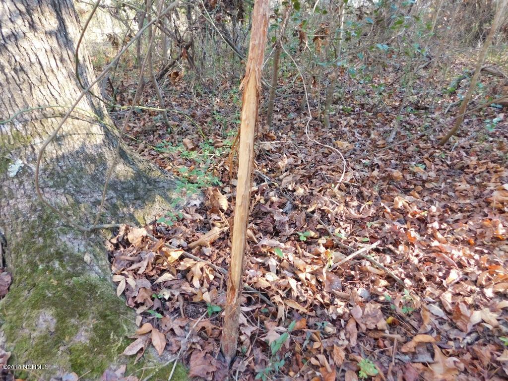 26.89 Bynum Farm Road Pinetops, NC 27864 - Photo 36 of 43 36 (1024x768)