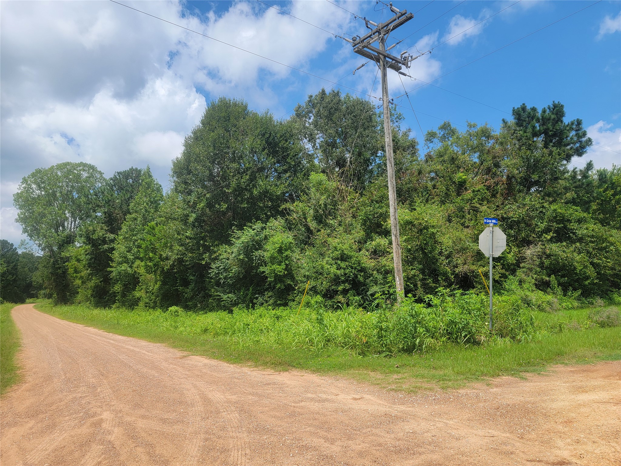 0 Farm Pasture Road Shepherd, TX 77371 - Photo 5 of 6