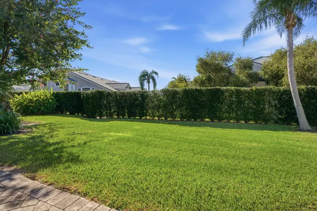 a view of a field of grass and a tree