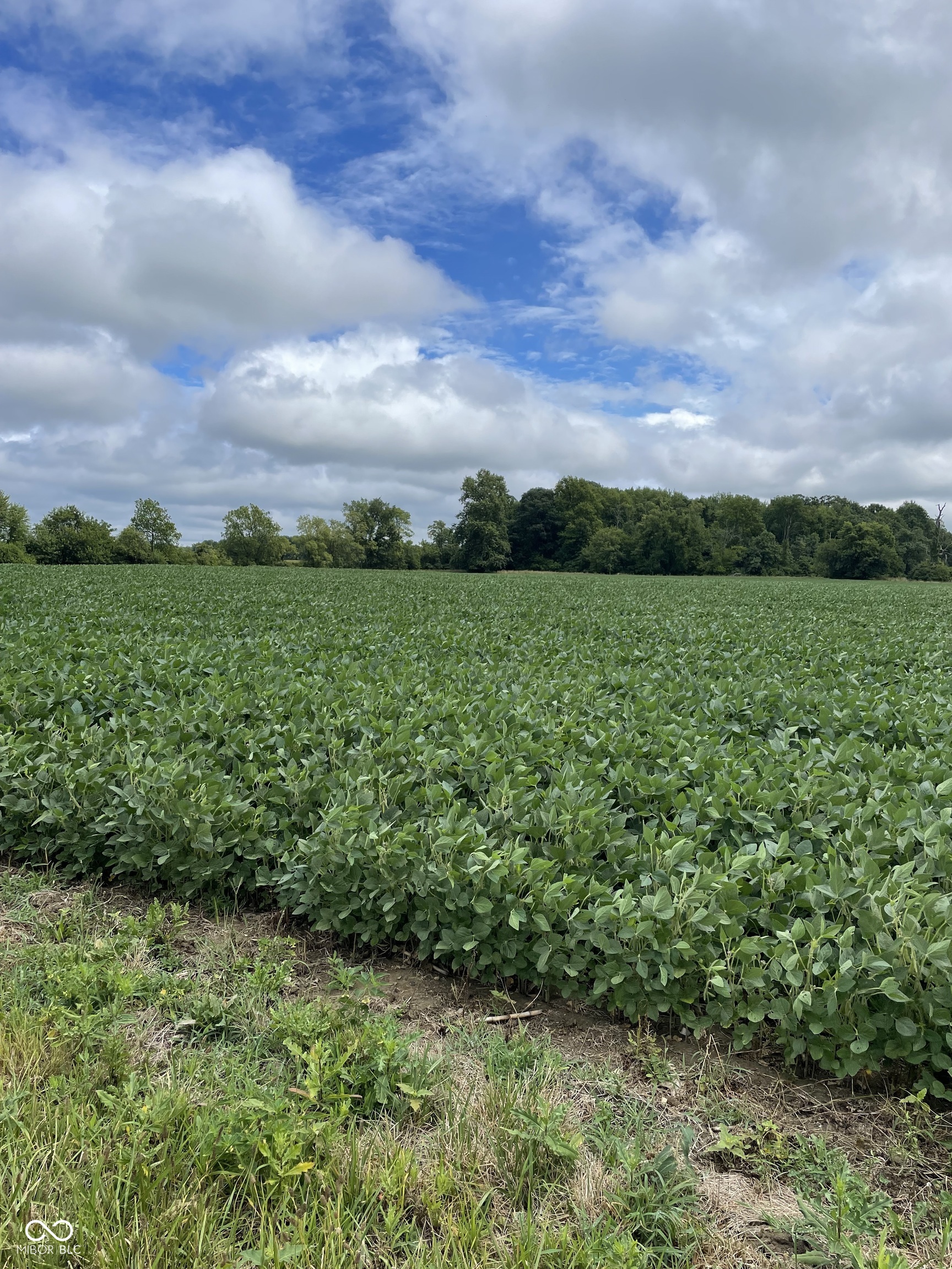 0 Rangeline South Road Anderson, IN 46017 - Photo 3 of 4