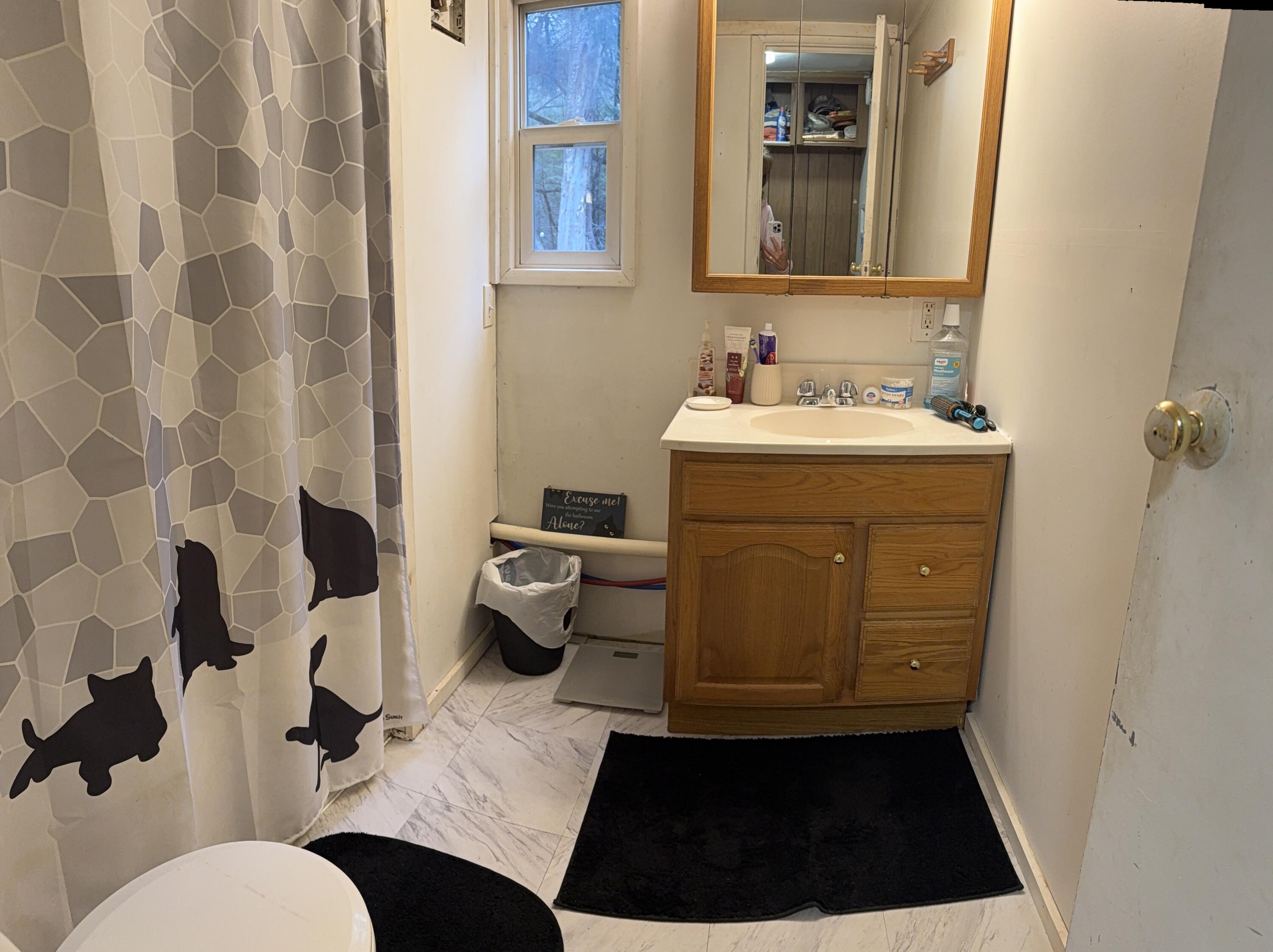 299-303 Hebron Road Paris, ME 04281 - Photo 8 of 23 303 Bathrm