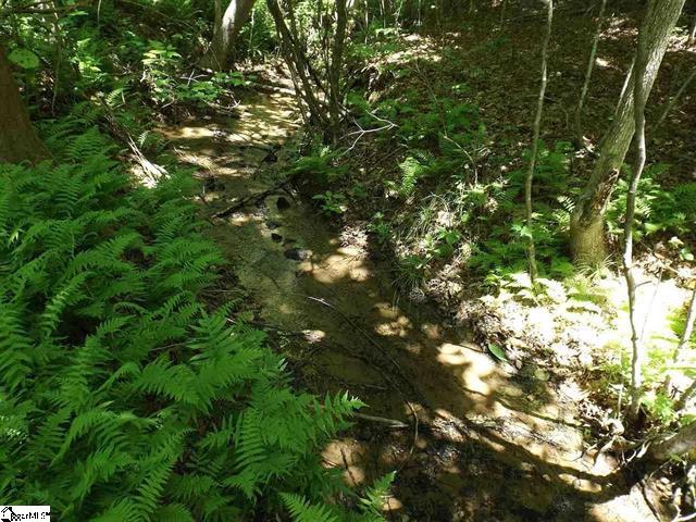 198 Dry Lake Road Cleveland, SC 29635 - Photo 18 of 21