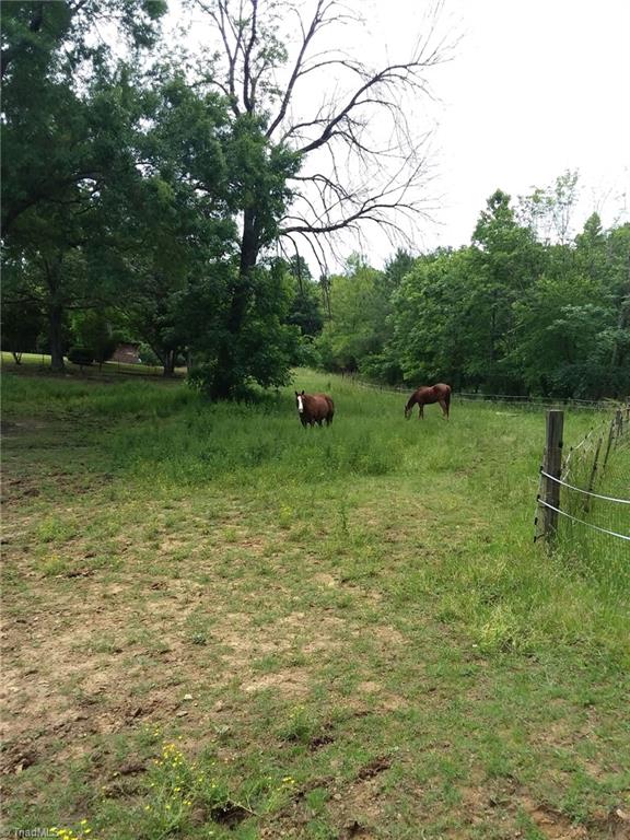1753 Smith Farm Road Lexington, NC 27292 - Photo 6 of 19 Gallery Image 6