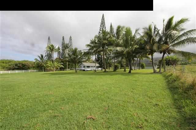 215 Maia Road Hana, HI 96713 - Photo 20 of 23 a view of green field