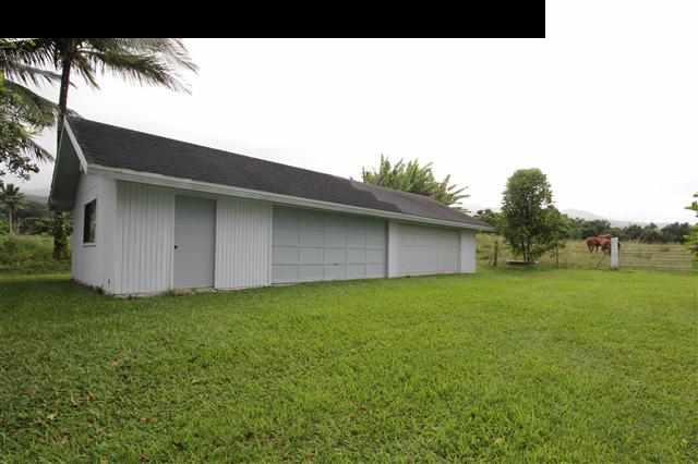 215 Maia Road Hana, HI 96713 - Photo 4 of 23 a backyard of a house with lots of green space