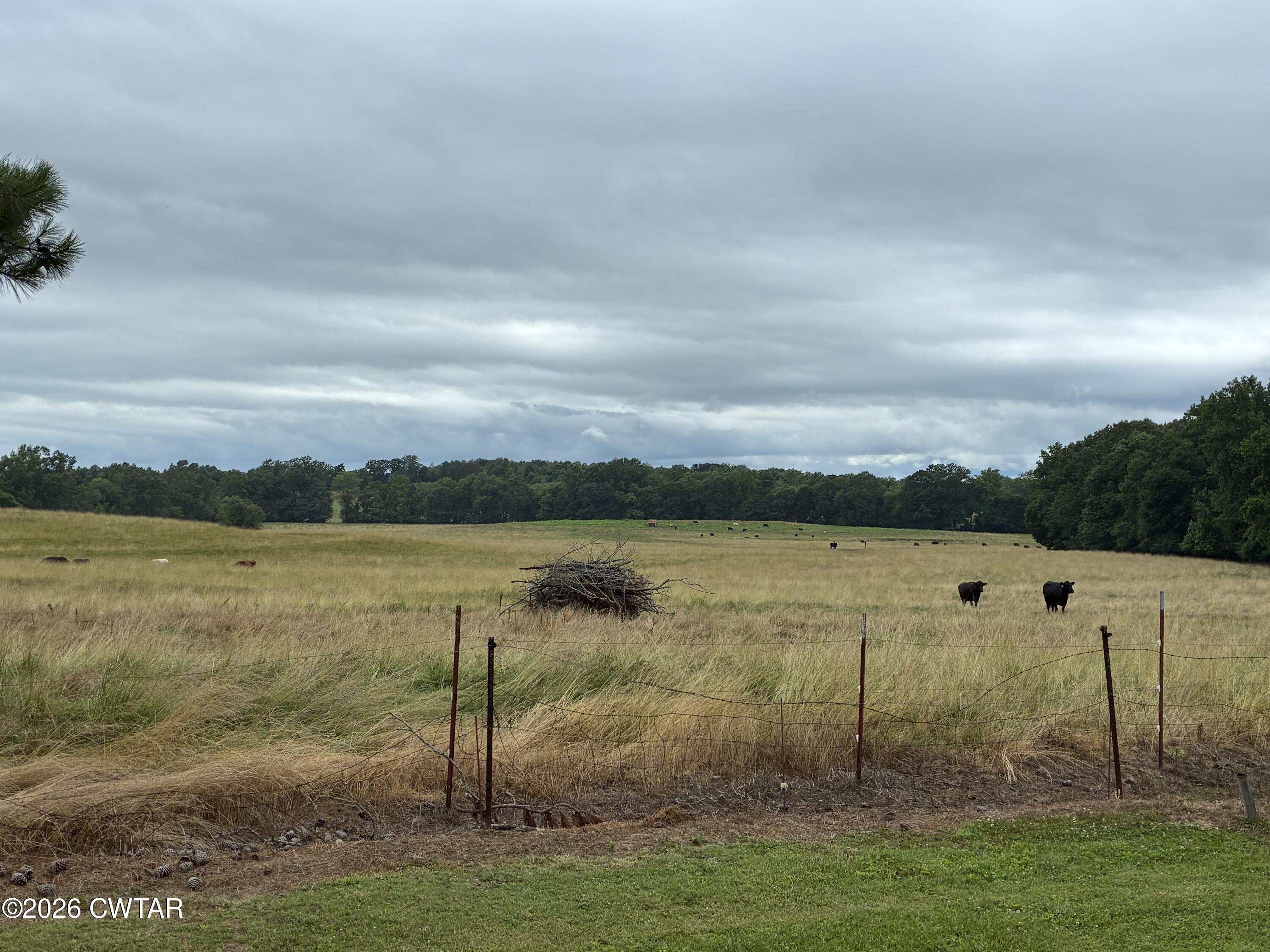 1120 Pleasant Ridge Road Finger, TN 38334 - Photo 2 of 7 IMG_1322