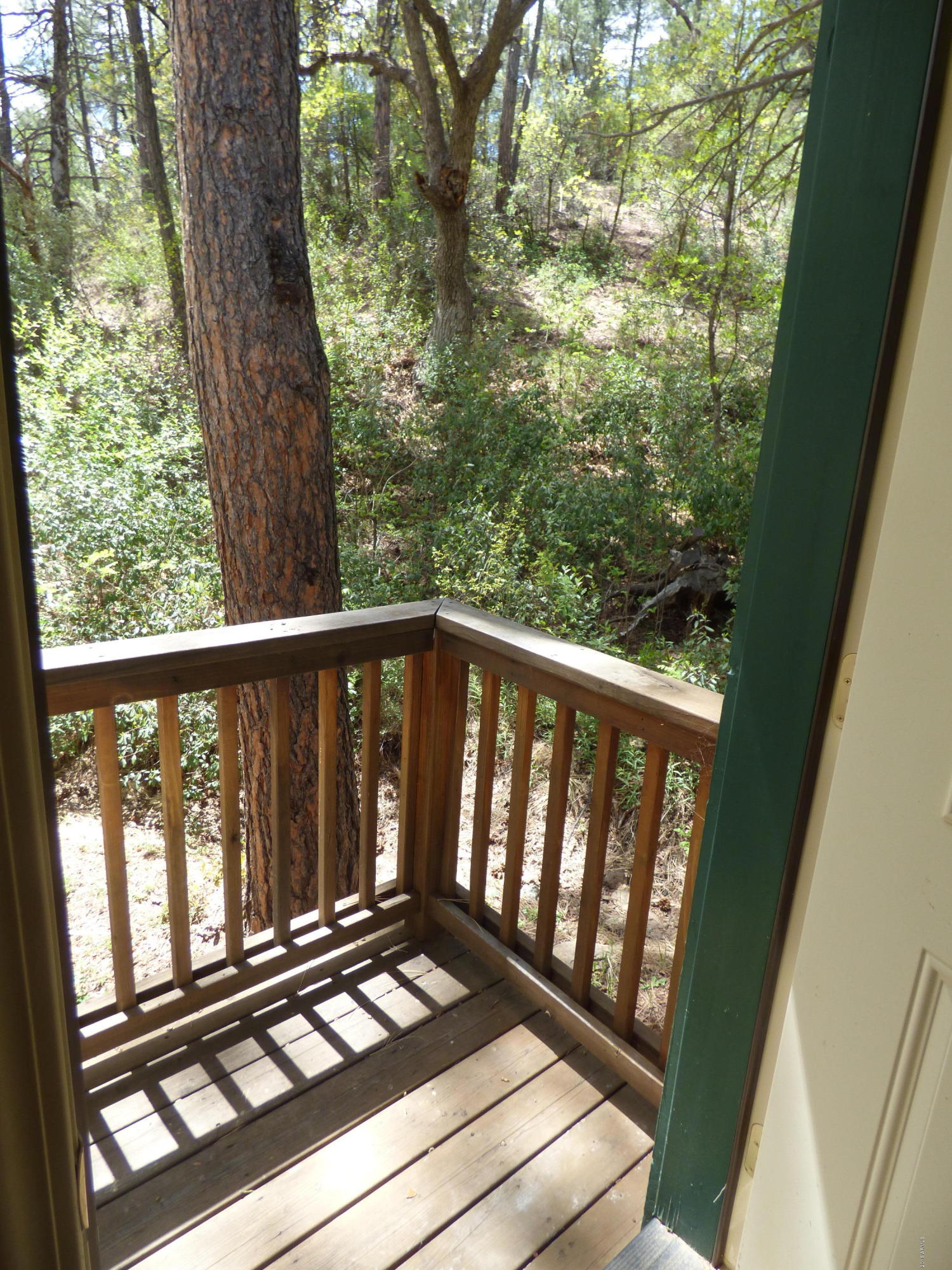 3932 Orloff Road Pine, AZ 85544 - Photo 29 of 32 P1010602