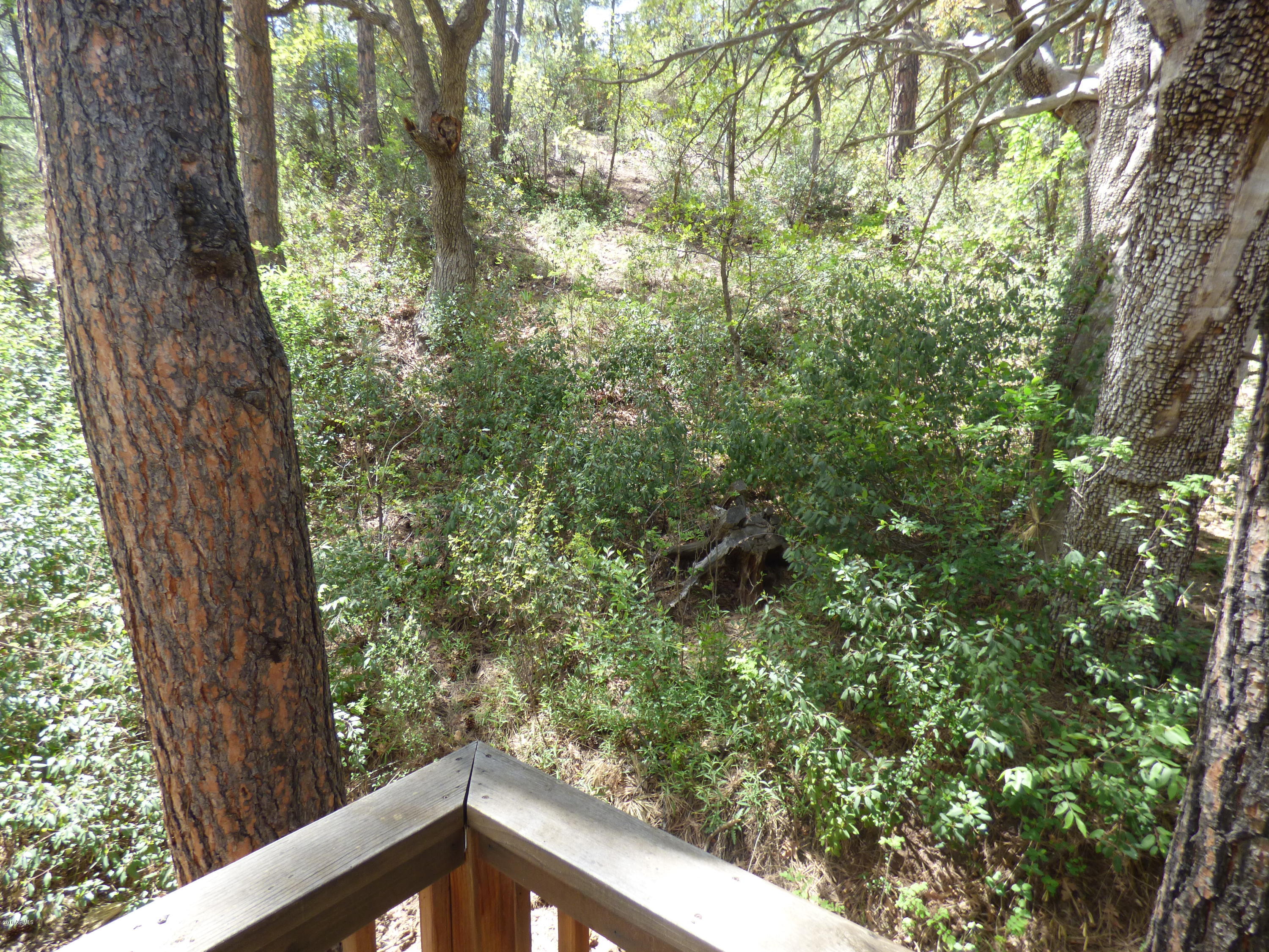 3932 Orloff Road Pine, AZ 85544 - Photo 30 of 32 P1010601