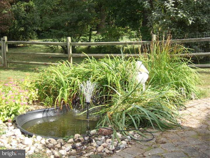 46 Schoolhouse Road Southampton, PA 18966 - Photo 23 of 25 Back Yard