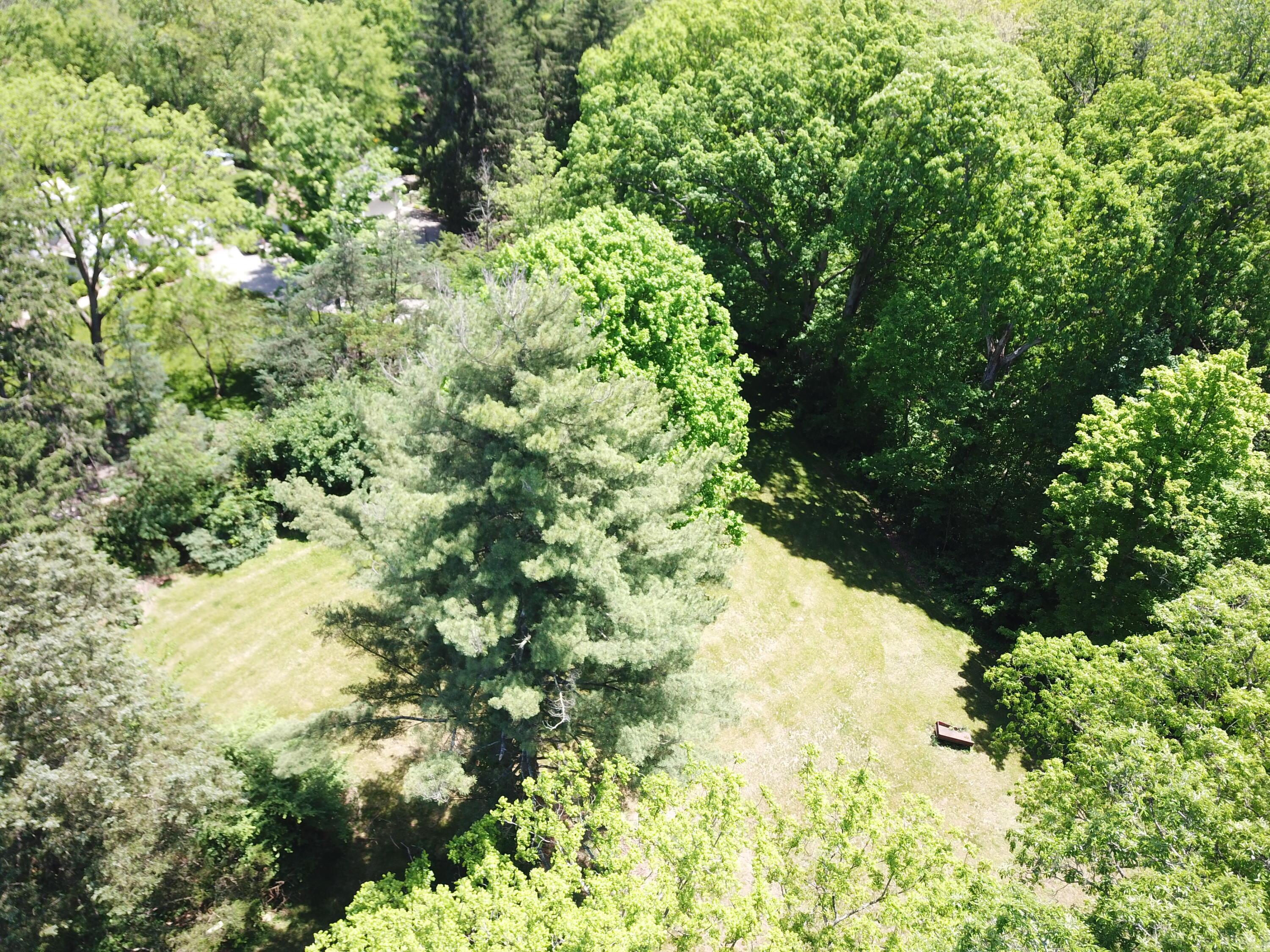 1428 Jewett Road Powell, OH 43065 - Photo 9 of 12 DJI_0264