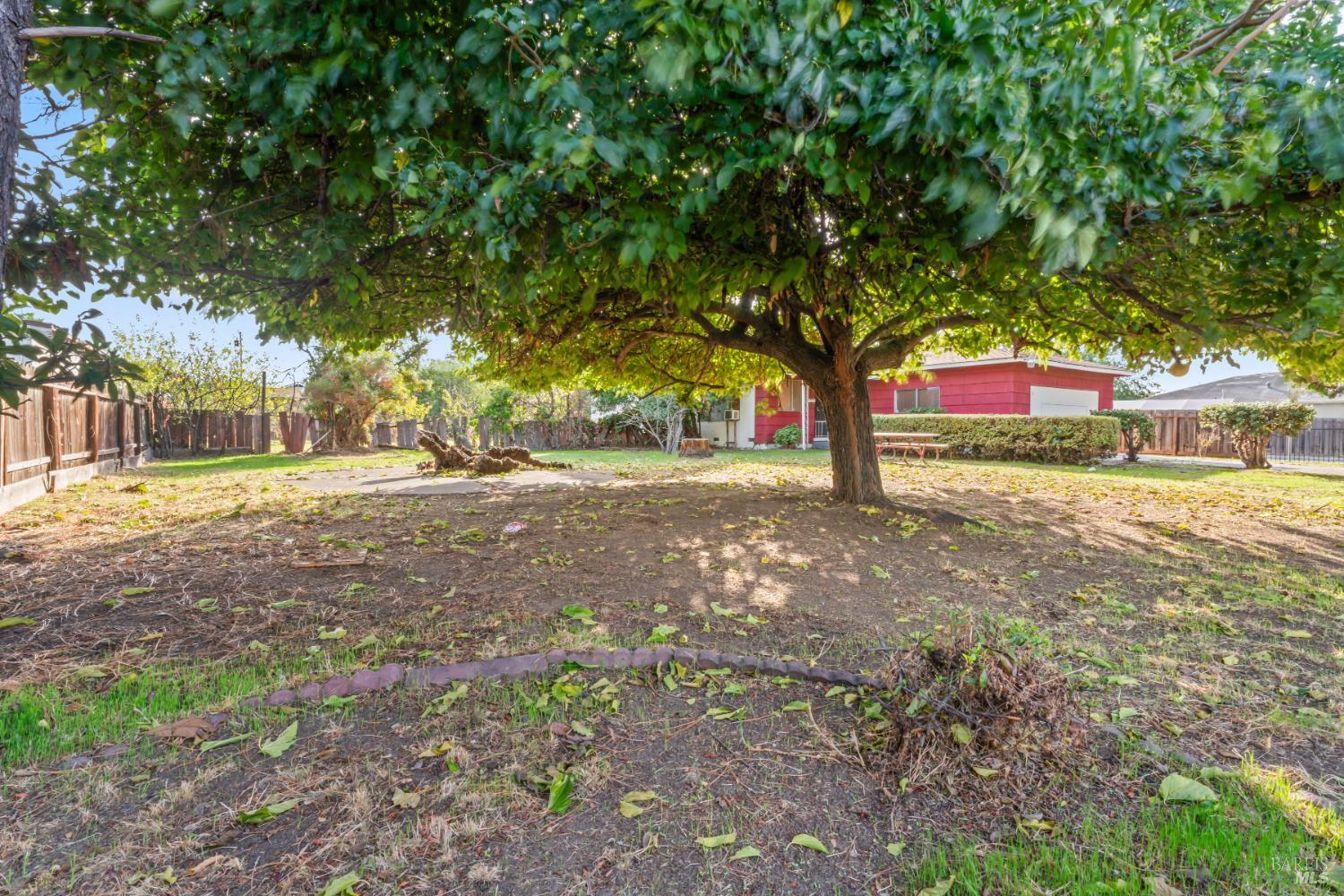 64 Solano Avenue Bay Point, CA 94565 - Photo 2 of 7 a park view with large trees