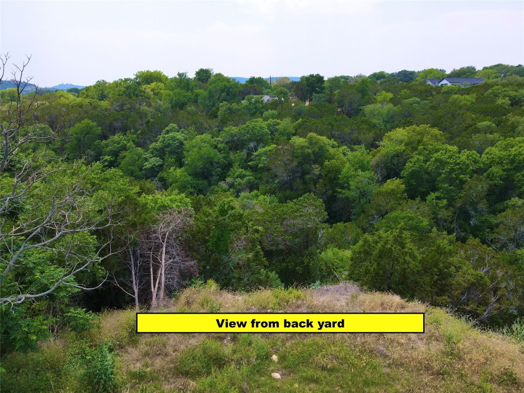 11524 Crumley Creek Road Jonestown, TX 78645 - Photo 3 of 10