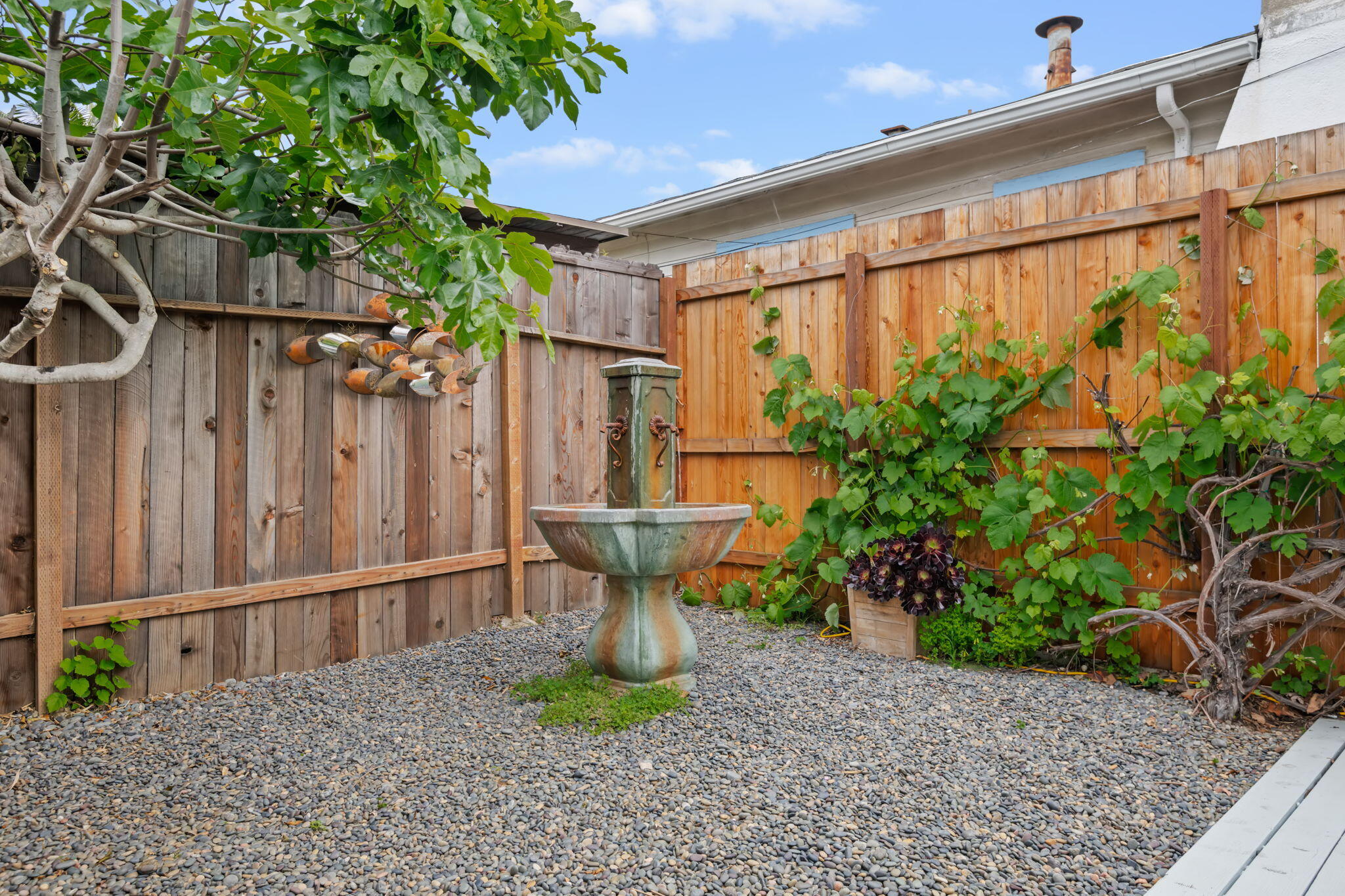 802 Olive Street Santa Barbara, CA 93101 - Photo 24 of 26 a view of a backyard with plants