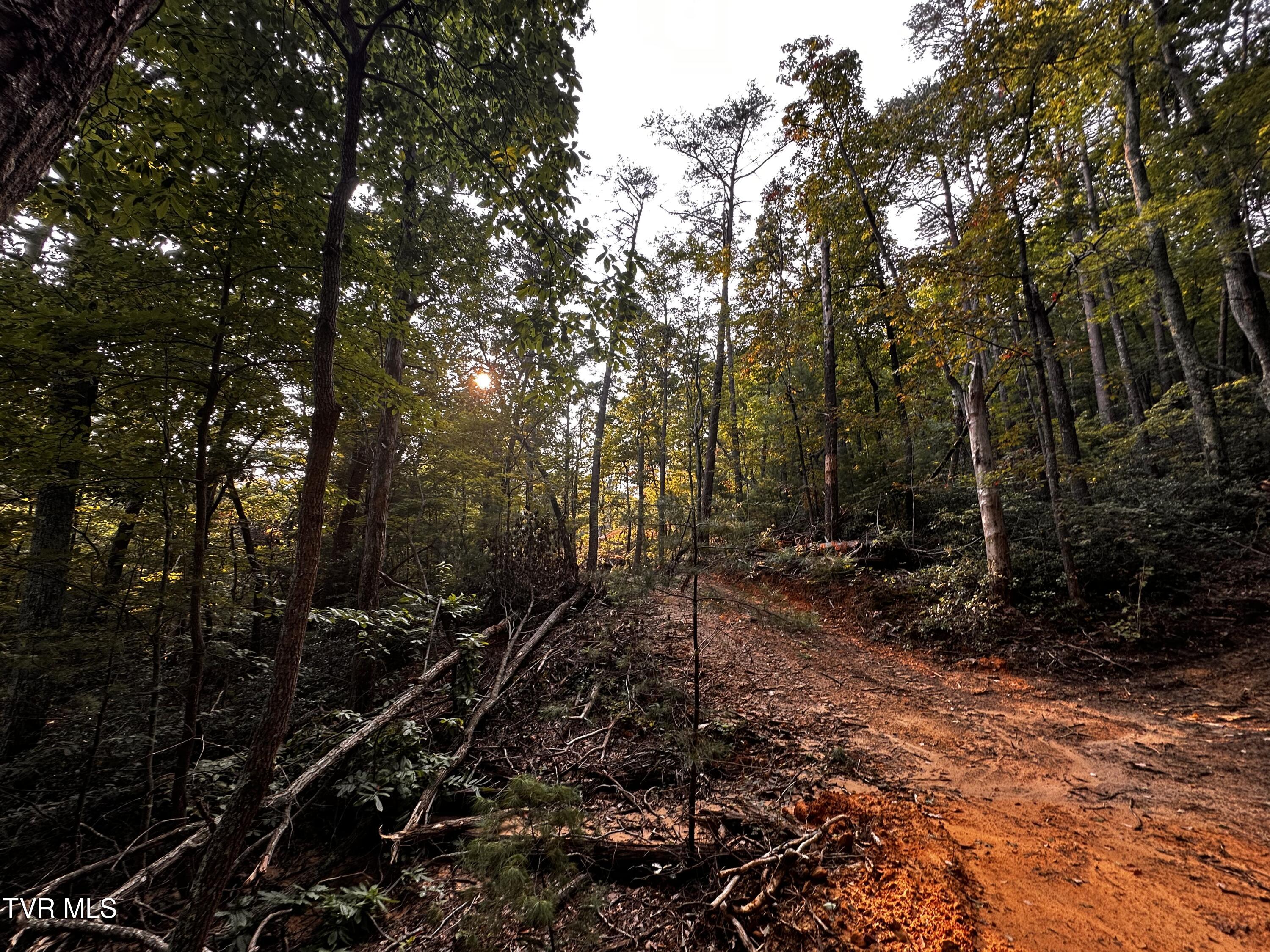 1700 Kelley Gap Road Greeneville, TN 37743 - Photo 12 of 13 IMG_3117