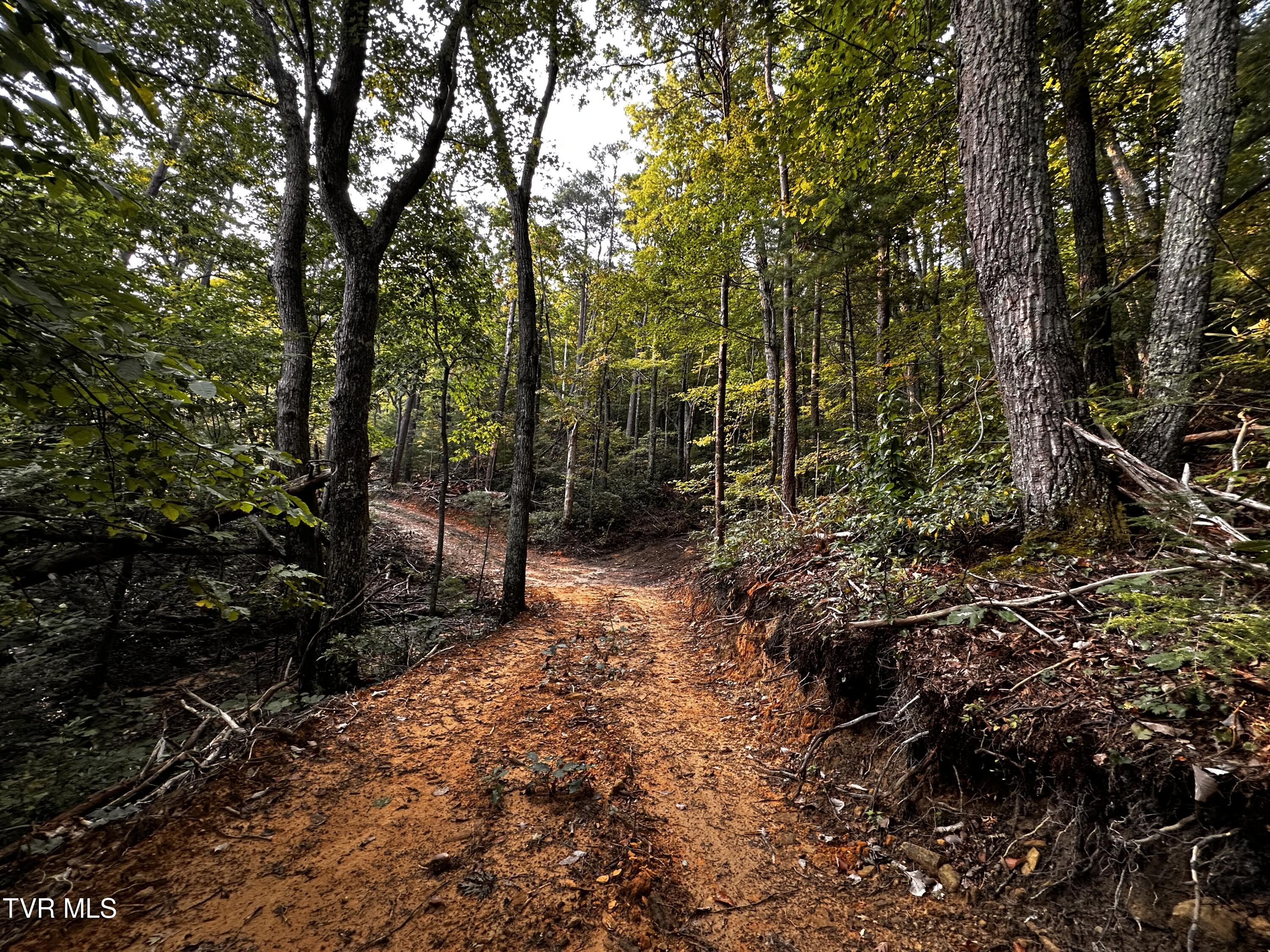 1700 Kelley Gap Road Greeneville, TN 37743 - Photo 13 of 13 IMG_3116