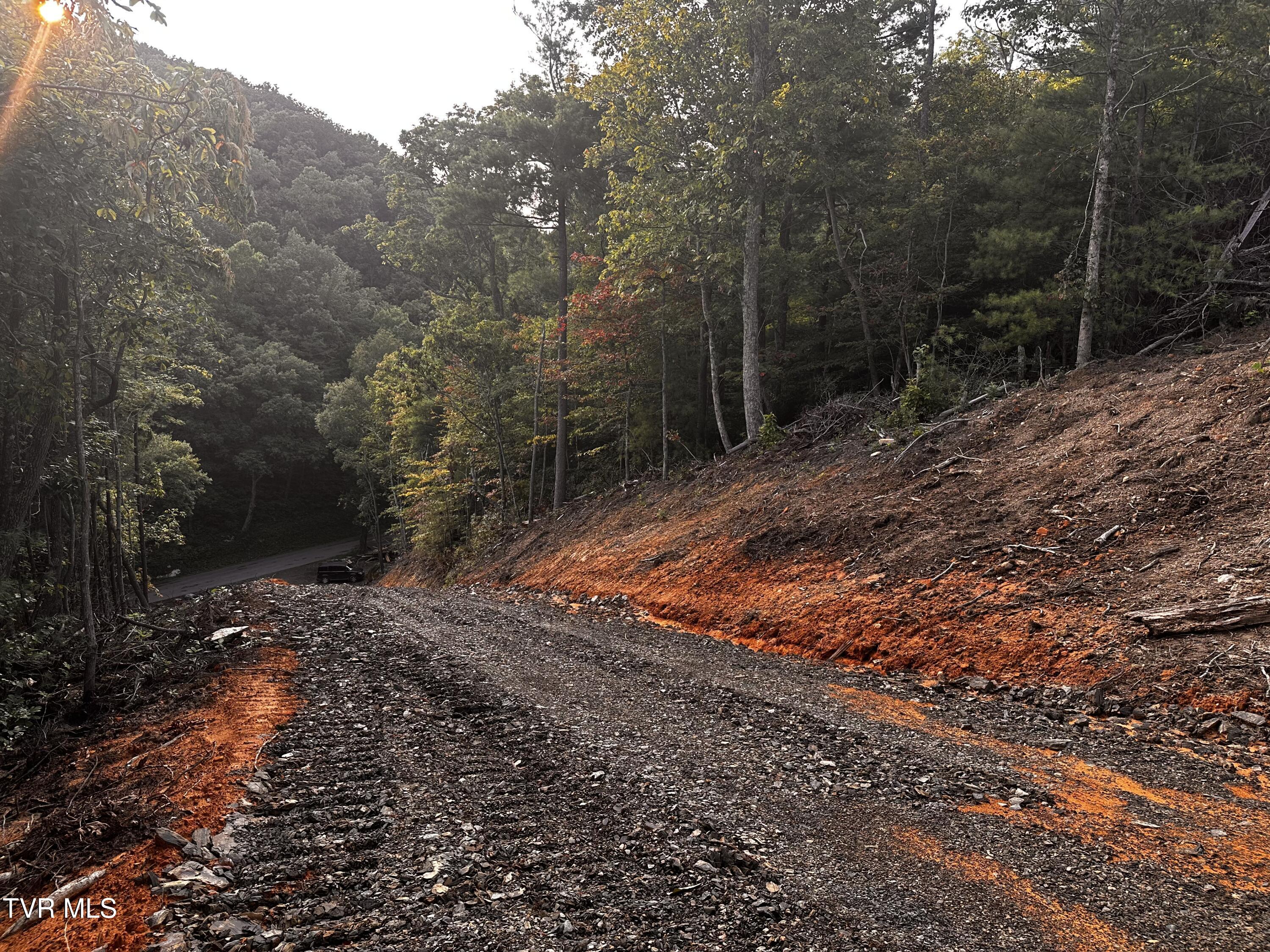 1700 Kelley Gap Road Greeneville, TN 37743 - Photo 2 of 13 IMG_3123