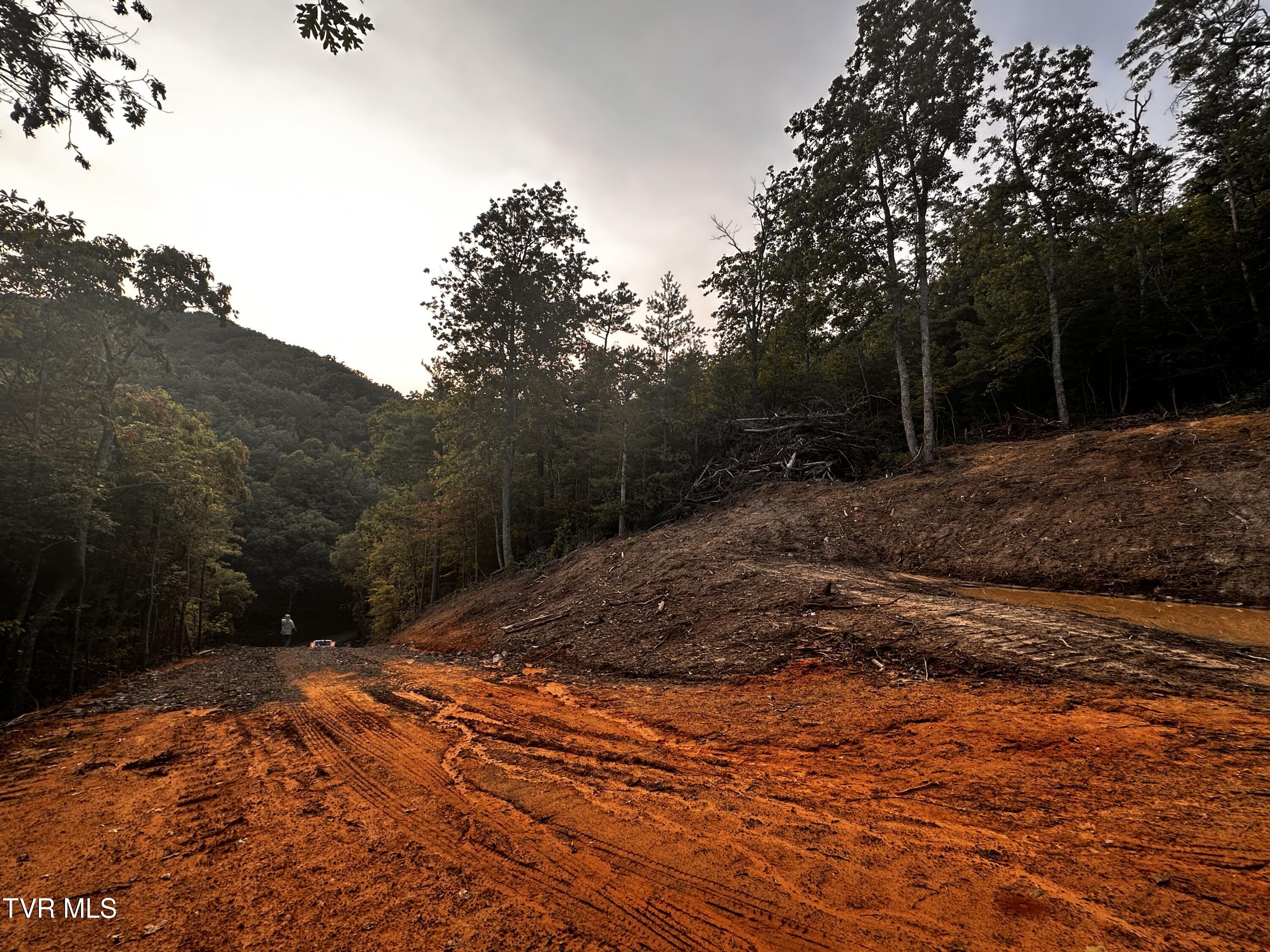 1700 Kelley Gap Road Greeneville, TN 37743 - Photo 3 of 13 IMG_3126