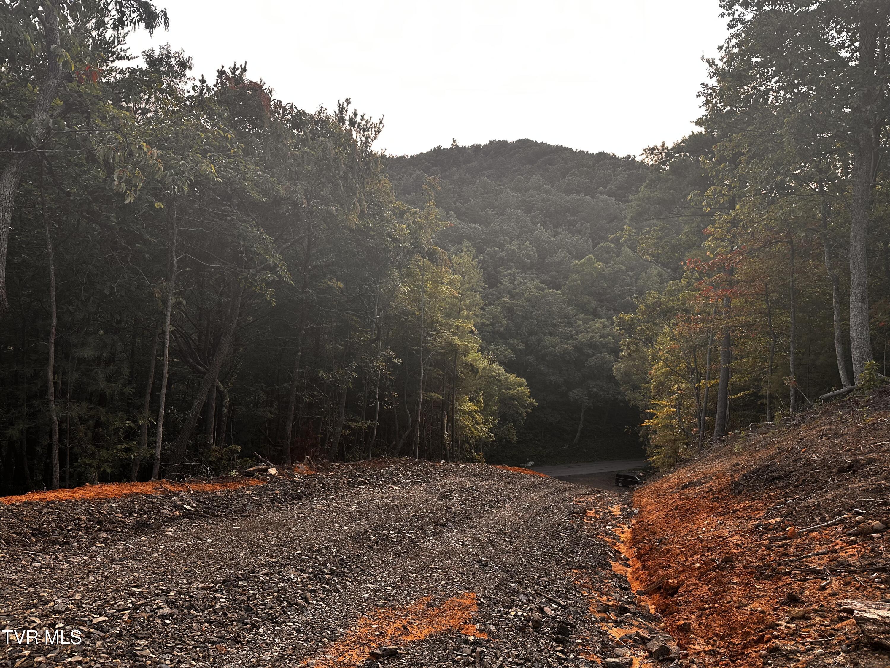 1700 Kelley Gap Road Greeneville, TN 37743 - Photo 4 of 13 IMG_3124