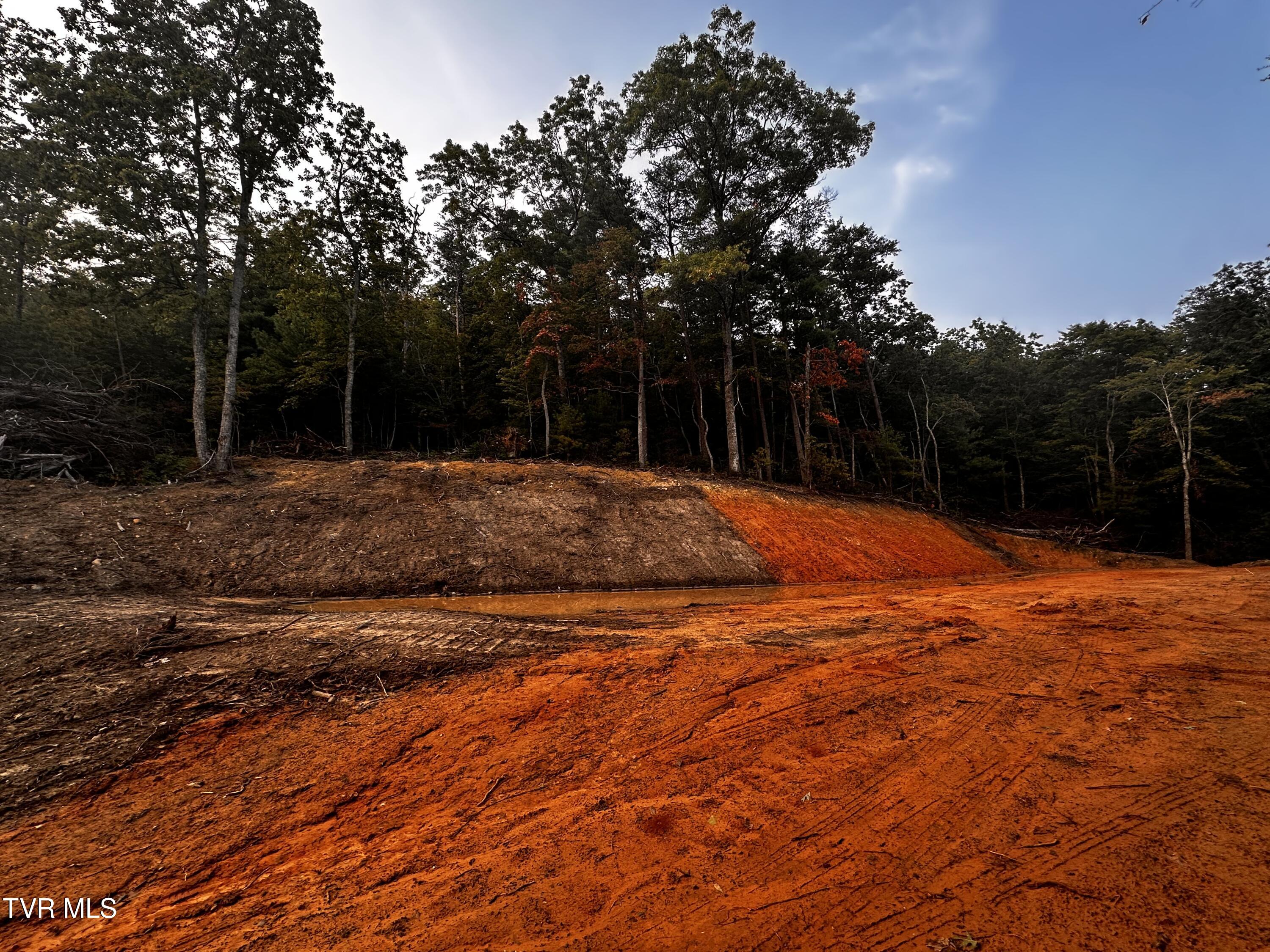 1700 Kelley Gap Road Greeneville, TN 37743 - Photo 6 of 13 IMG_3125