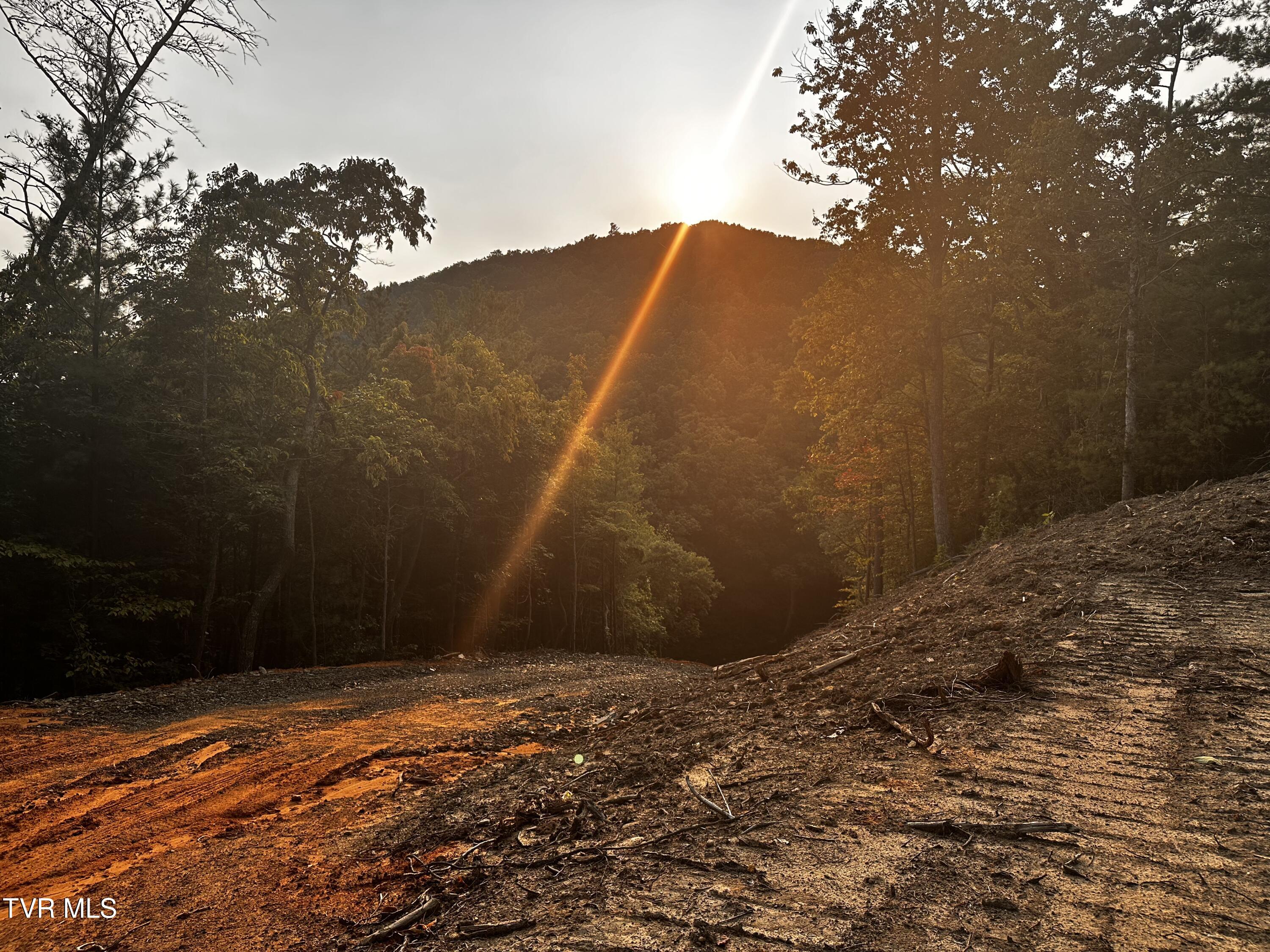1700 Kelley Gap Road Greeneville, TN 37743 - Photo 7 of 13 IMG_3122