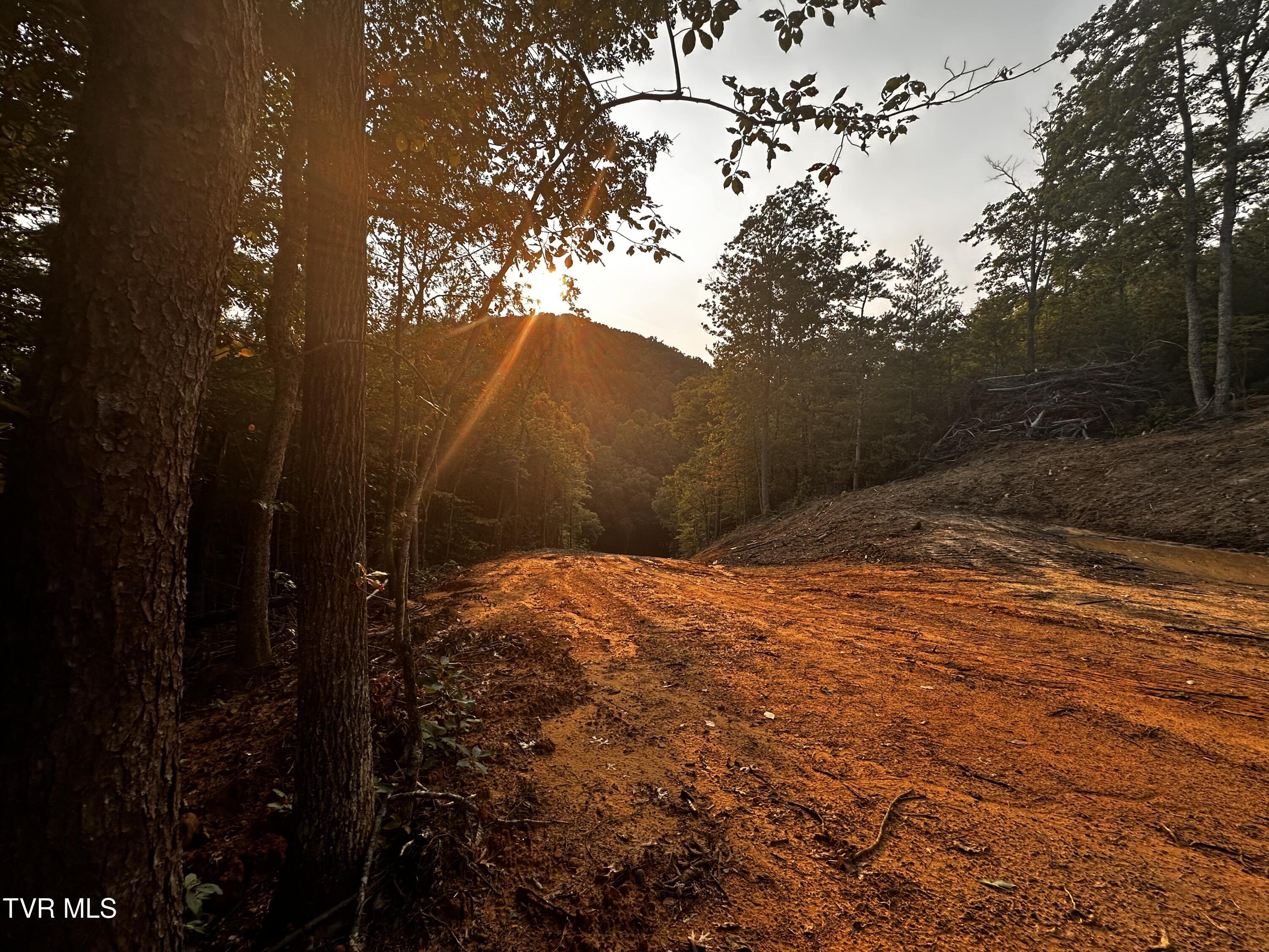 1700 Kelley Gap Road Greeneville, TN 37743 - Photo 9 of 13 IMG_3120
